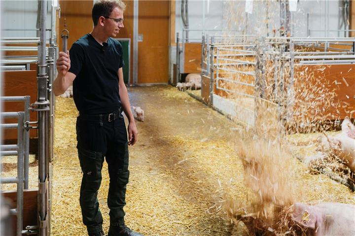 Alles Gute kommt von oben – und das Stroh aus der Decke. 