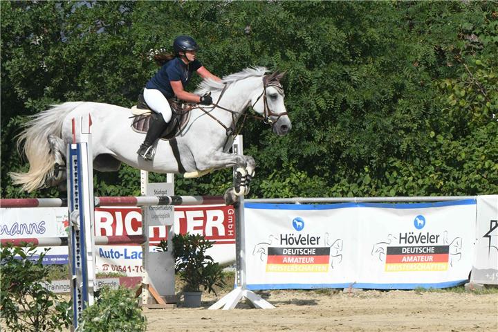 Am Jubiläumstag werden unter anderem die verschiedenen Reitsportarten vorgeführt.Fotos: and
