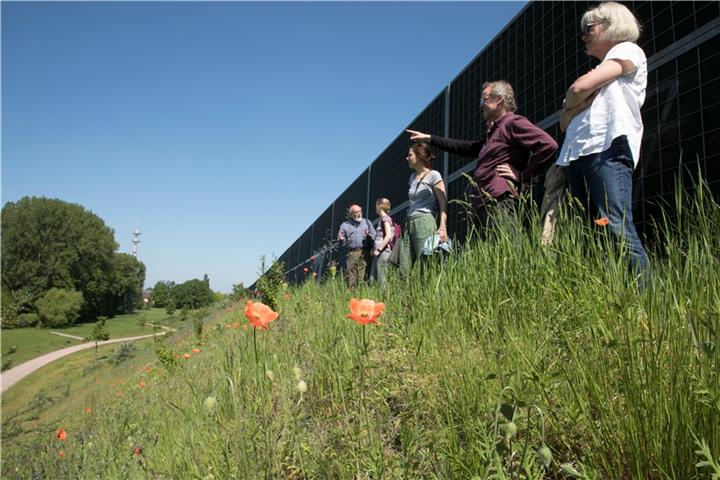 Baugebiet oder grüne Oase? Wie soll es an der Wasserstiege in Zukunft aussehen? Fotos: Lisa Kannenbrock