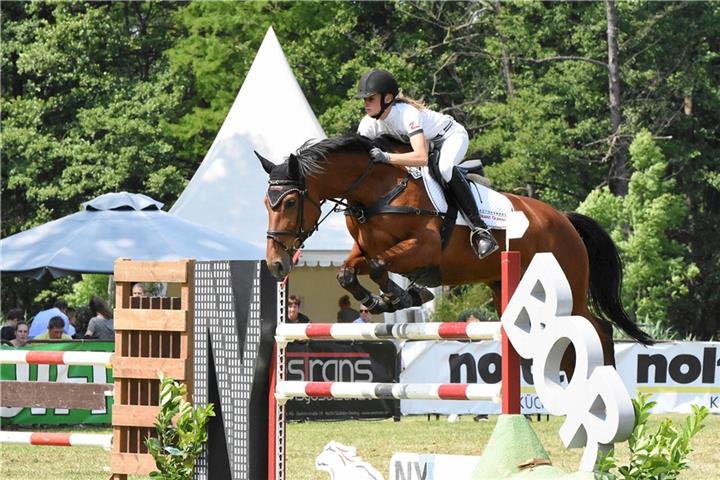 Beim ZRFV Borken wird am Pfingstwochenende wieder um Geld- und Ehrenpreise in Prüfungen bis zur Klasse S geritten.