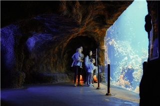 Besonders beeindruckend ist auch das riesige Korallenriff-Aquarium.