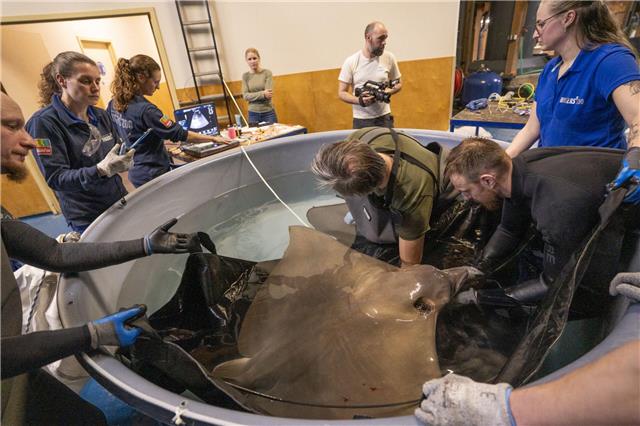 Seltener Eingriff im Wasser