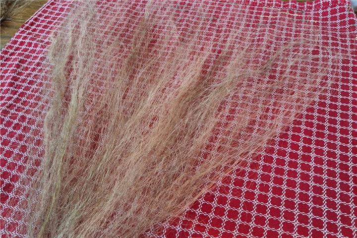 Spinnerinnen lernen das Rocken 