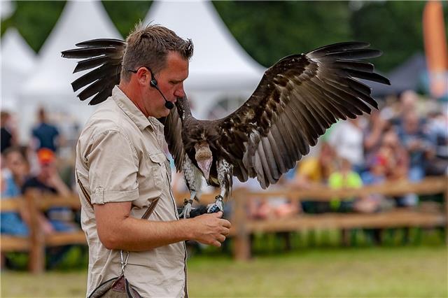 Farm & Country Fair in Aalten