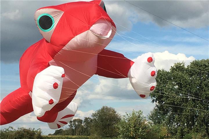 Drachenfest in Hoxfeld 