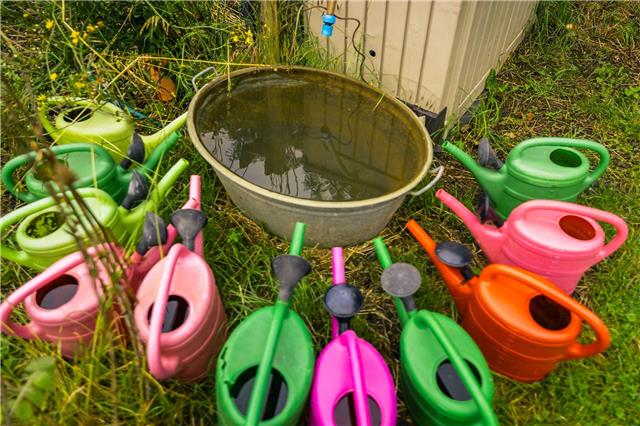 Bis 28. Februar kann man sich zu den „Tagen der Gärten und Parks in Westfalen-Lippe“ am 13. und 14. Juni anmelden. Foto: LWL / Roland Baege