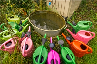 Bis 28. Februar kann man sich zu den „Tagen der Gärten und Parks in Westfalen-Lippe“ am 13. und 14. Juni anmelden. Foto: LWL / Roland Baege