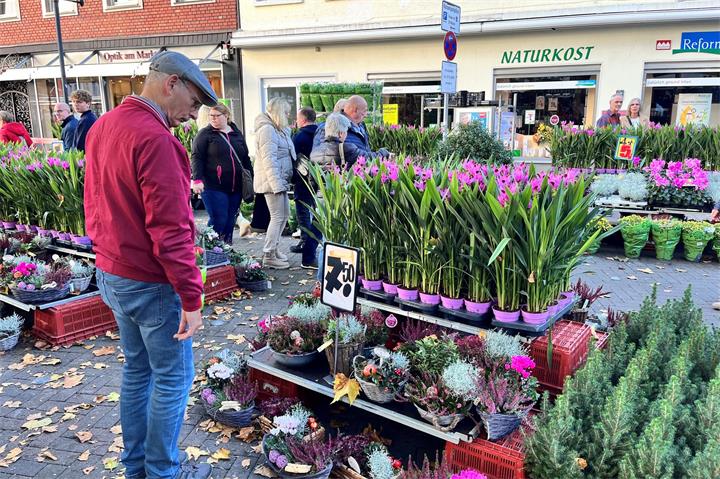 Buntes Angebot an herbstlichen Pflanzen und Dekorationen.