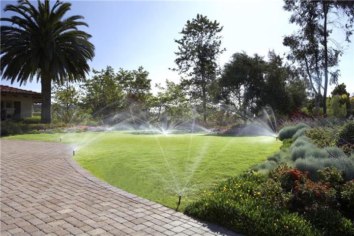 Dank eines cleveren Beregnungssystems müssen Gartenbesitzer sich nicht mehr mit Schlauch und Gießkanne abmühen, sondern haben mehr Zeit zum Zurücklehnen und Entspannen. Foto: HLC/Rainpro