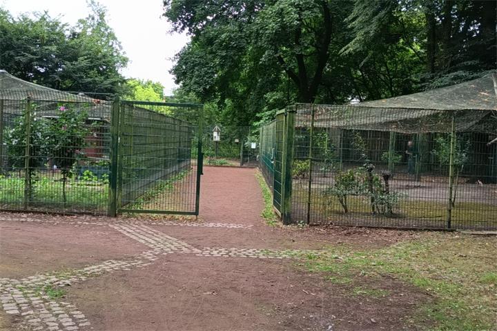 Die Vogelgehege sind bald leer. © Federfreunde Borken