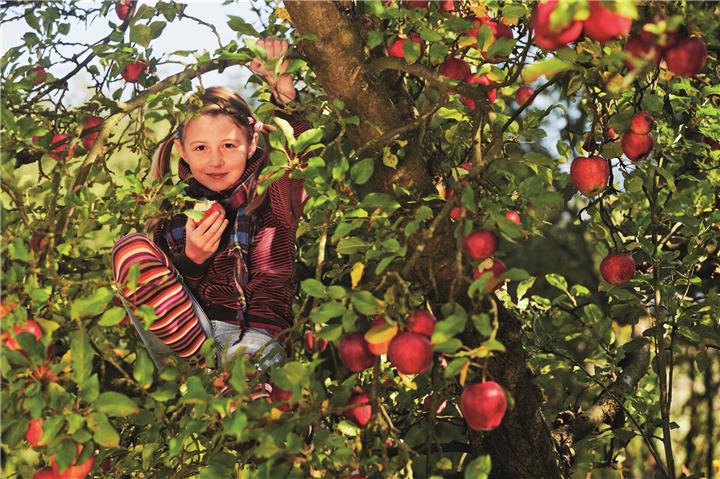 Ein Garten bietet Abenteuer und Geborgenheit zugleich. Foto: Ingo Bartussek/stock.adobe.com/akz-o
