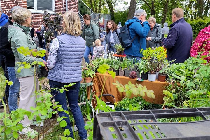 Festtag im Zwillbrocker Venn: Die Biologische Station feiert am 26. April nicht nur den Internationalen Tag des Flamingos, sondern auch ihr 40-jähriges Bestehen