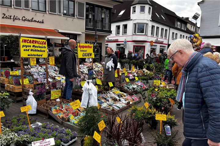Frühlingsdüfte und bunte Blumen und Pflanzen für Balkon und Garten sind auf dem Ostermarkt in großer Auswahl zu finden.