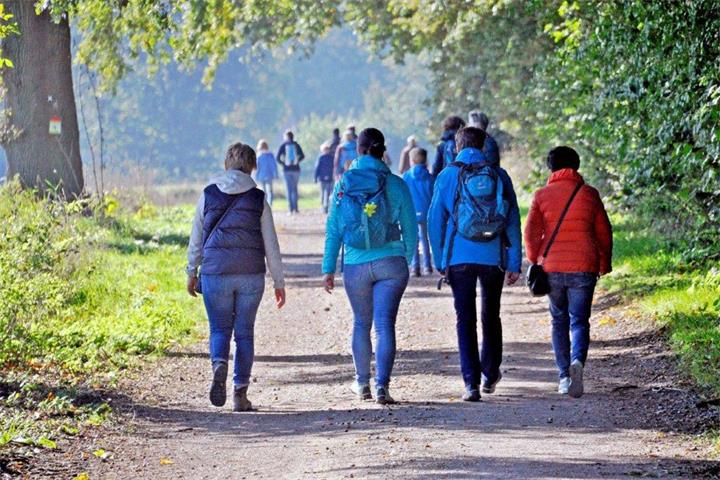 Gemeinsam rund um Reken wandern.