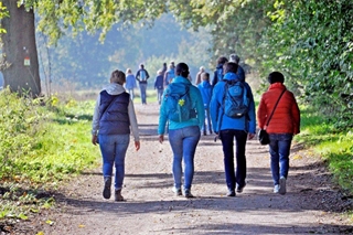Gemeinsam rund um Reken wandern.