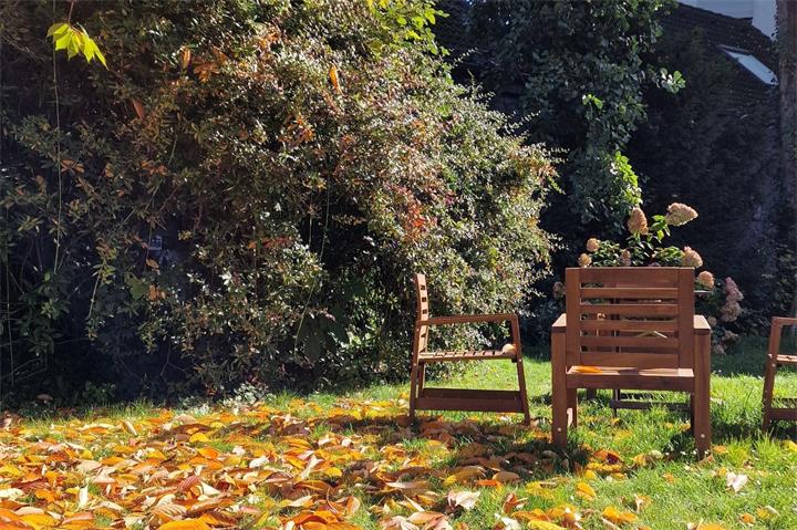 Herbstlaub übernimmt in der Natur eine sehr wichtige Aufgabe. Foto: BGL