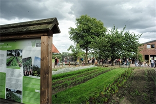 Hoffest und Sommerfest der Solidarischen Landwirtschaft. Foto: Lisa Kannenbrock