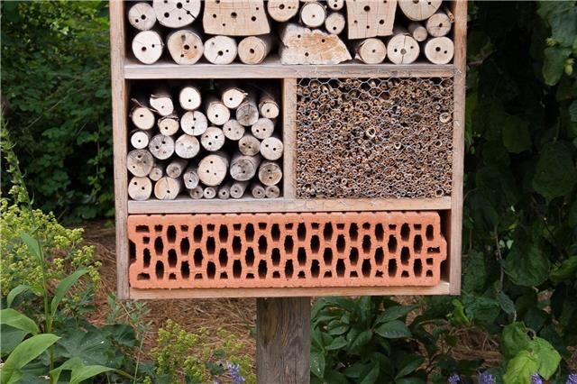 Insektenhotels sind wertvoller Zufluchtsort für wichtige Insektenarten.