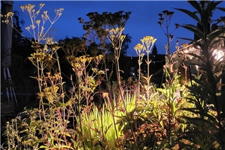 Landschaftsgärtner setzen auf eine gut durchdachte Verteilung weniger, individuell ausgewählter Lichtquellen. Foto: BGL