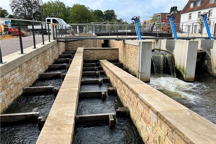 Moderne Fischaufstiegs- und Wehranlage.