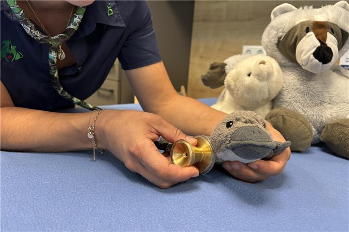 Muss vielleicht geröntgt werden? Die Kuscheltiersprechstunde gibt Antworten.