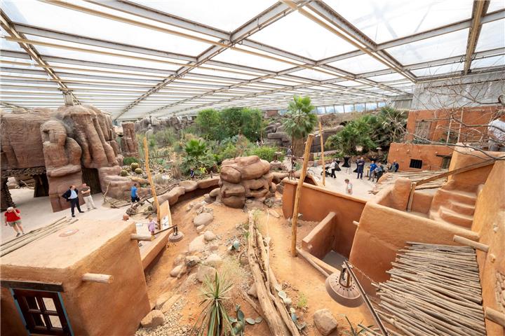 Nach monatelangem Umbau präsentiert der Königliche Burgers‘ Zoo seine beeindruckende Felsenwüste in völlig neuem Gewand.