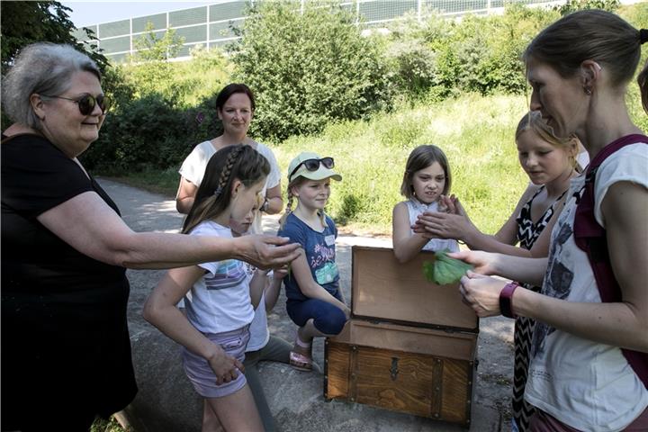 Natur entdecken mitten in der Stadt. Das kann man wieder am kommenden Sonntag.