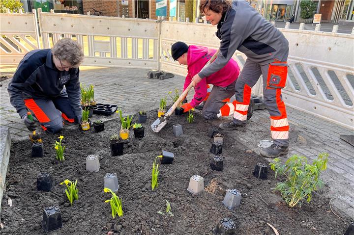 Neue Beete in der Borkener Innenstadt. Foto: hie