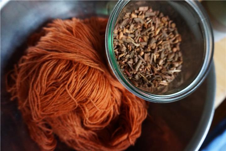 Pflanzenfärbung: Krapp ist neben Indigo einer der ältesten Pflanzenfarbstoffe.