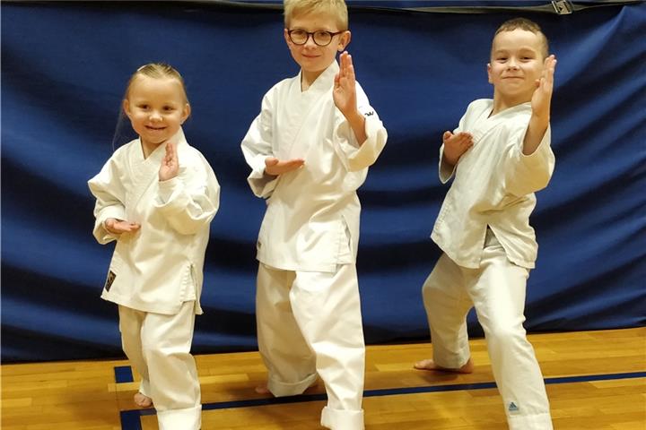 Spielerisch werden die Karate-Techniken vermittelt.
