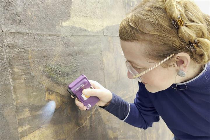 Stephanie Keinert beschäftigt sich seit 2019 mit den Gemener Goldledertapeten, um herauszufinden, wie sich ihr Verfall aufhalten lässt. Foto: LWL/Benji Prior