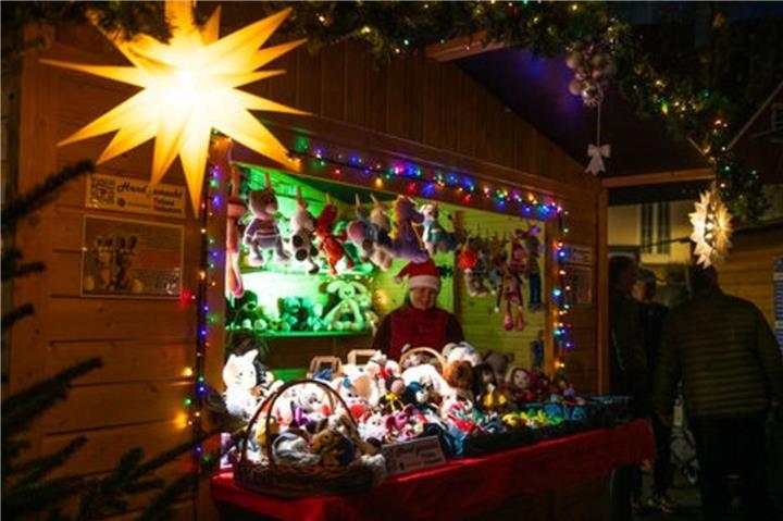Über 30 Händlerinnen, Händler und regionale Vereine präsentieren sich auf dem Marktplatz.