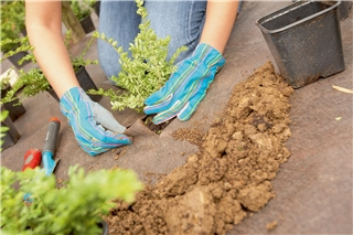 Unkrautvliese bilden eine effiziente Unkrautbarriere. Foto: HLC/Gutta GmbH