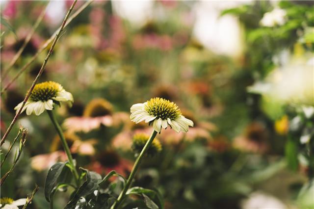 Unterschiedliche Höhen einplanen. Foto: Freepik