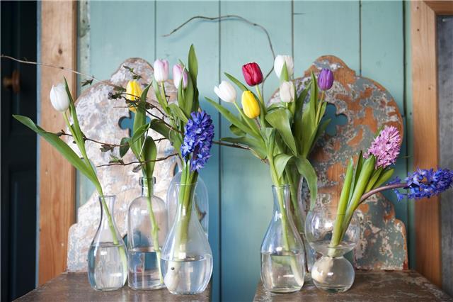 Verteilt man die Frühlingblumen in vielen kleinen Gefäßen und ordnet sie wie zufällig auf einem Sideboard an, entsteht ein sehr lässiges Arrangement. Foto ibulb_TPN