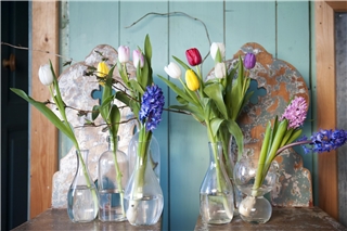 Verteilt man die Frühlingblumen in vielen kleinen Gefäßen und ordnet sie wie zufällig auf einem Sideboard an, entsteht ein sehr lässiges Arrangement. Foto ibulb_TPN