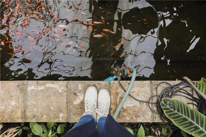 Vielfalt zählt: Ein Gartenteich kann wertvolle Lebensräume bieten,Foto: Freepik