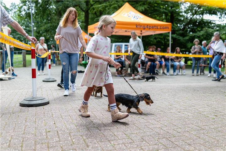 Zuchtschau auch mit jungen Dackelfans: Der Teckelklub Westmünsterland hat zahlreiche Mitglieder in Borken und Umgebung. 