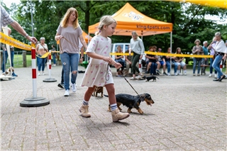 Zuchtschau auch mit jungen Dackelfans: Der Teckelklub Westmünsterland hat zahlreiche Mitglieder in Borken und Umgebung. 
